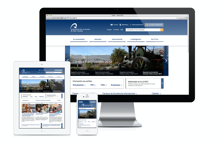 aspecto de la web en 2014
